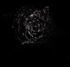 catseye